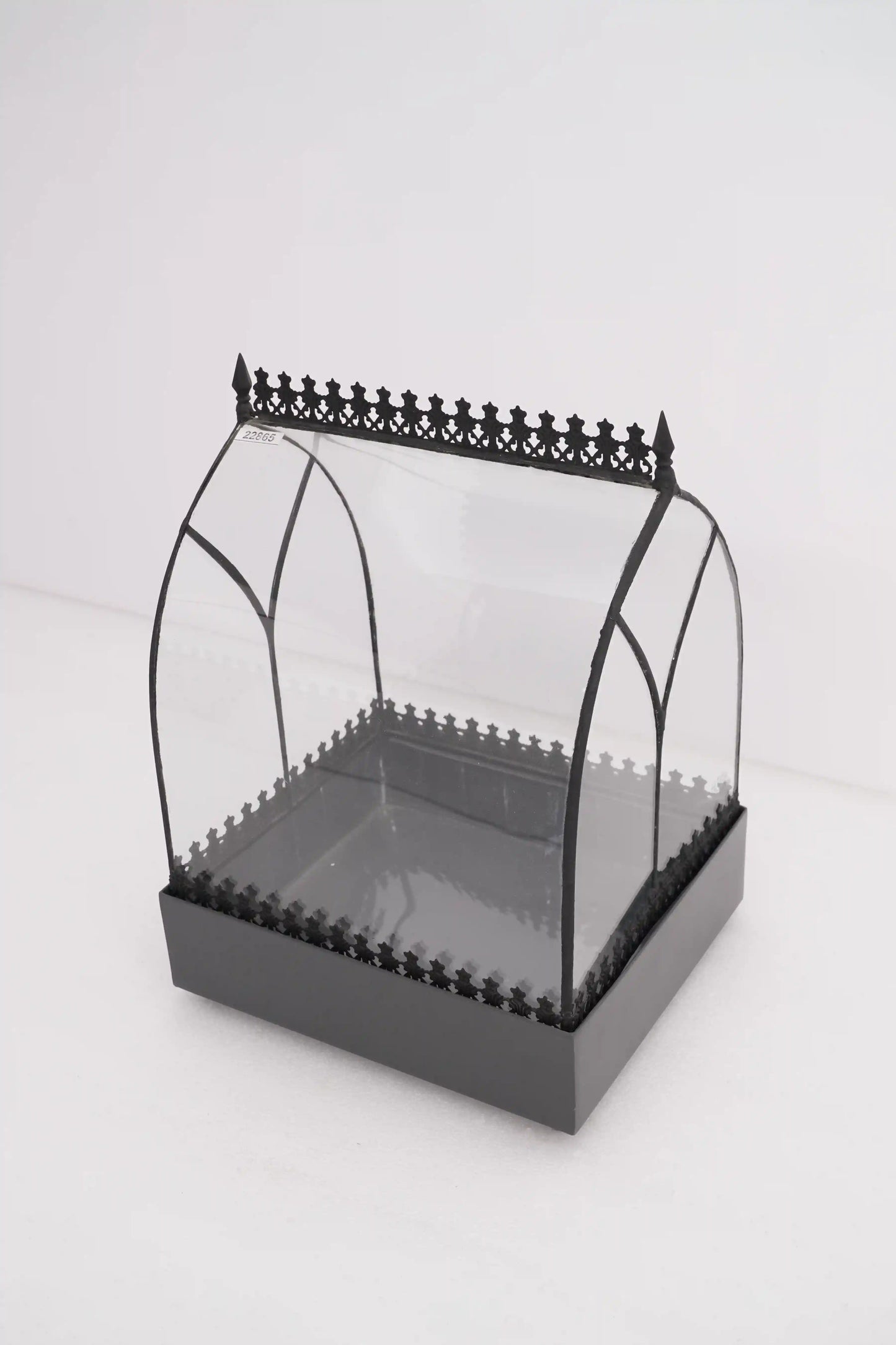 Wardian Case Curved Glass Terrarium