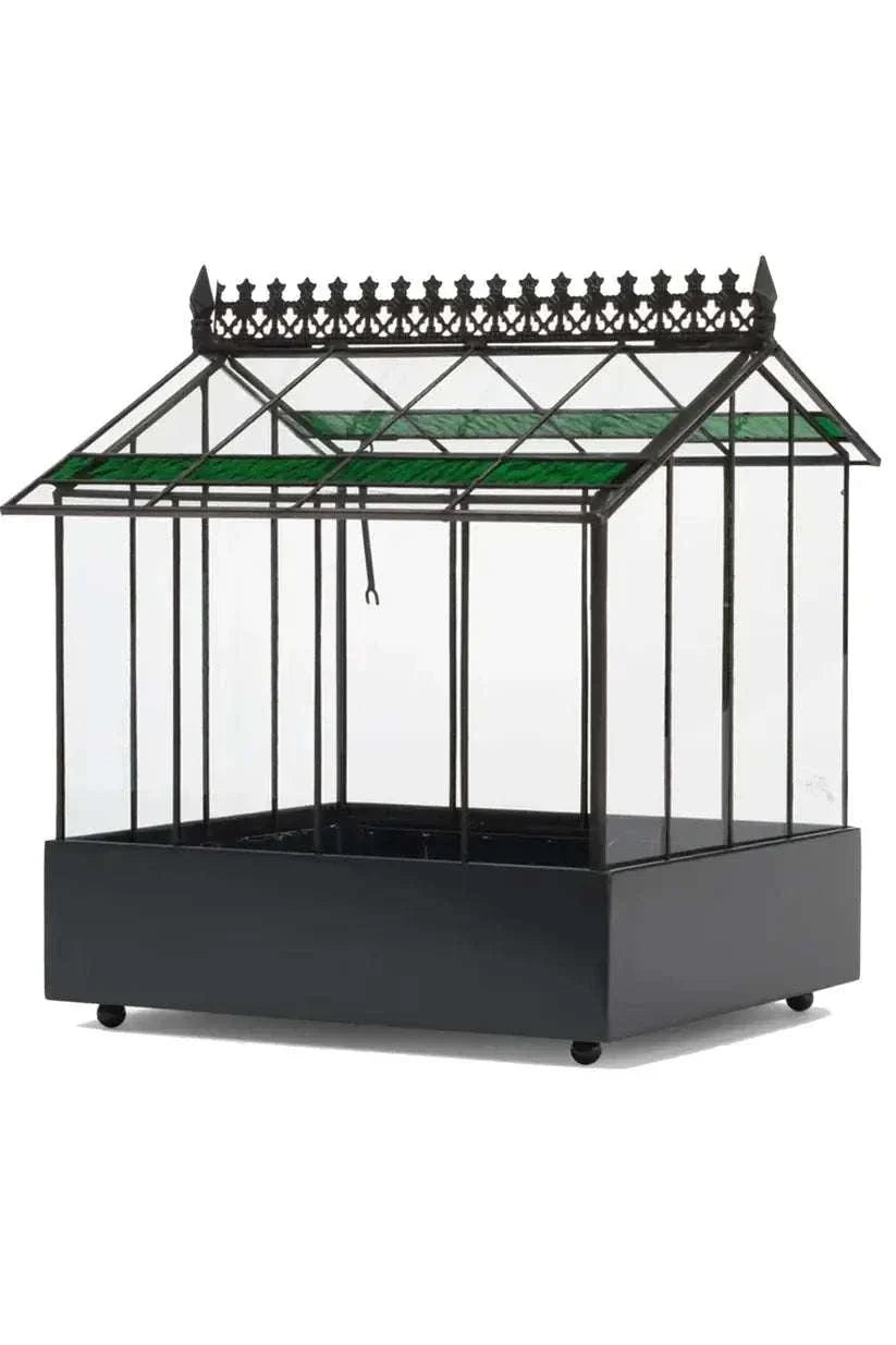 Glass Wardian Case terrarium planter with succulents for indoor gardening and home decor