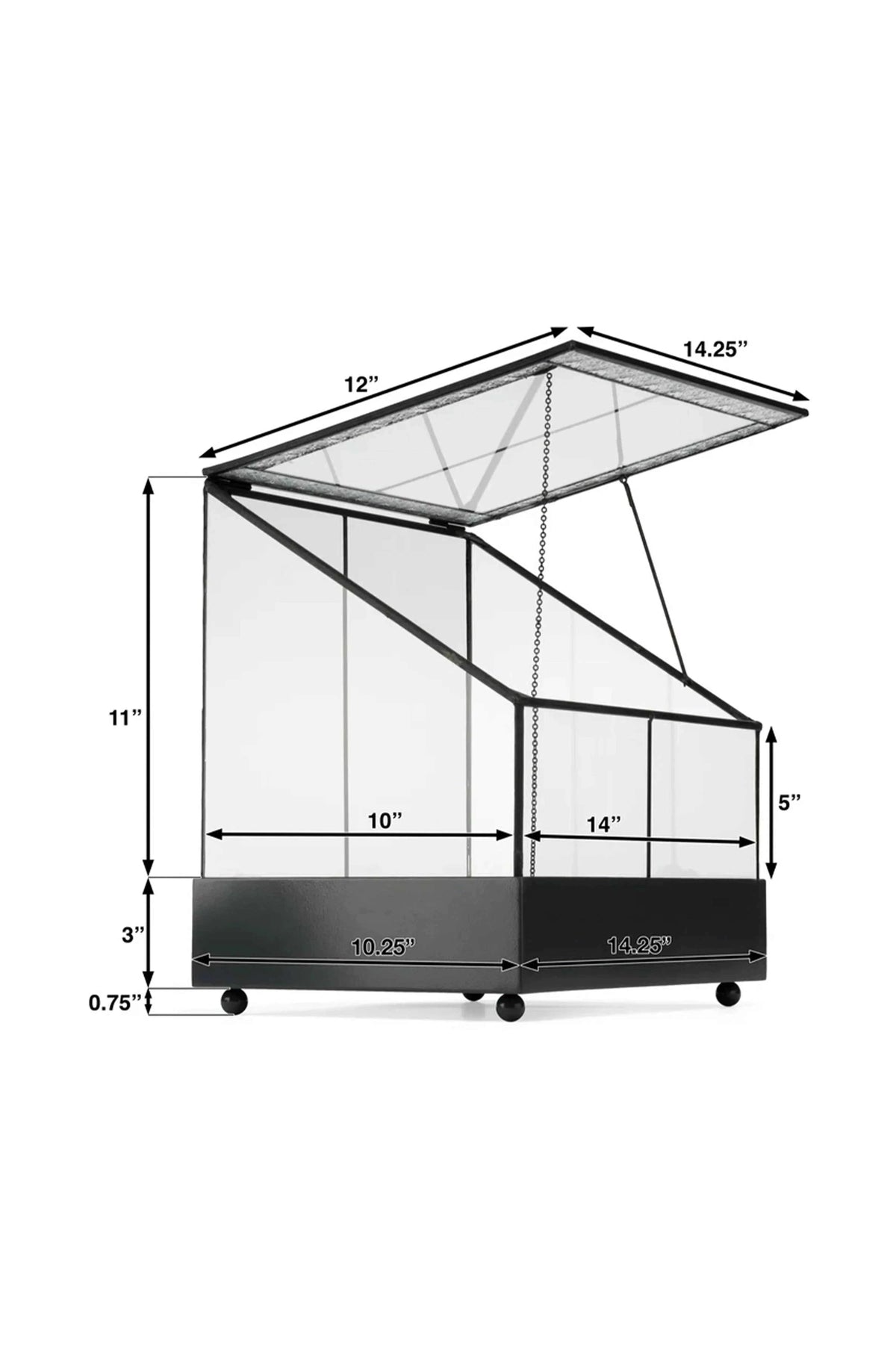 Elegant Glass Terrarium Planter Wardian Case showcasing indoor succulents and air plants by ILLUMEA