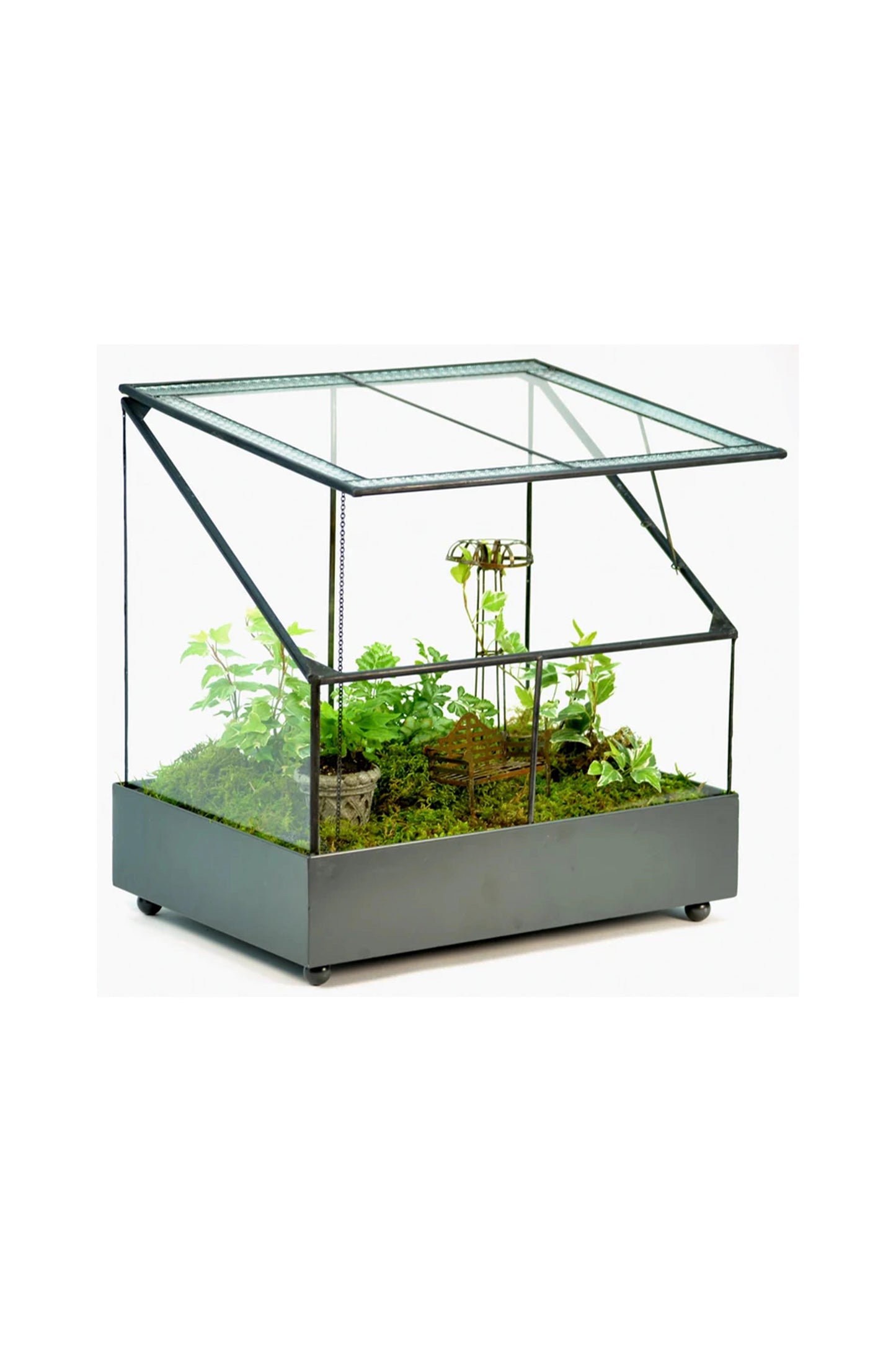 Black Terrarium Wardian Case Plant Care Container Planter for Succulents & Greenery - ILLUMEATerrarium Planter