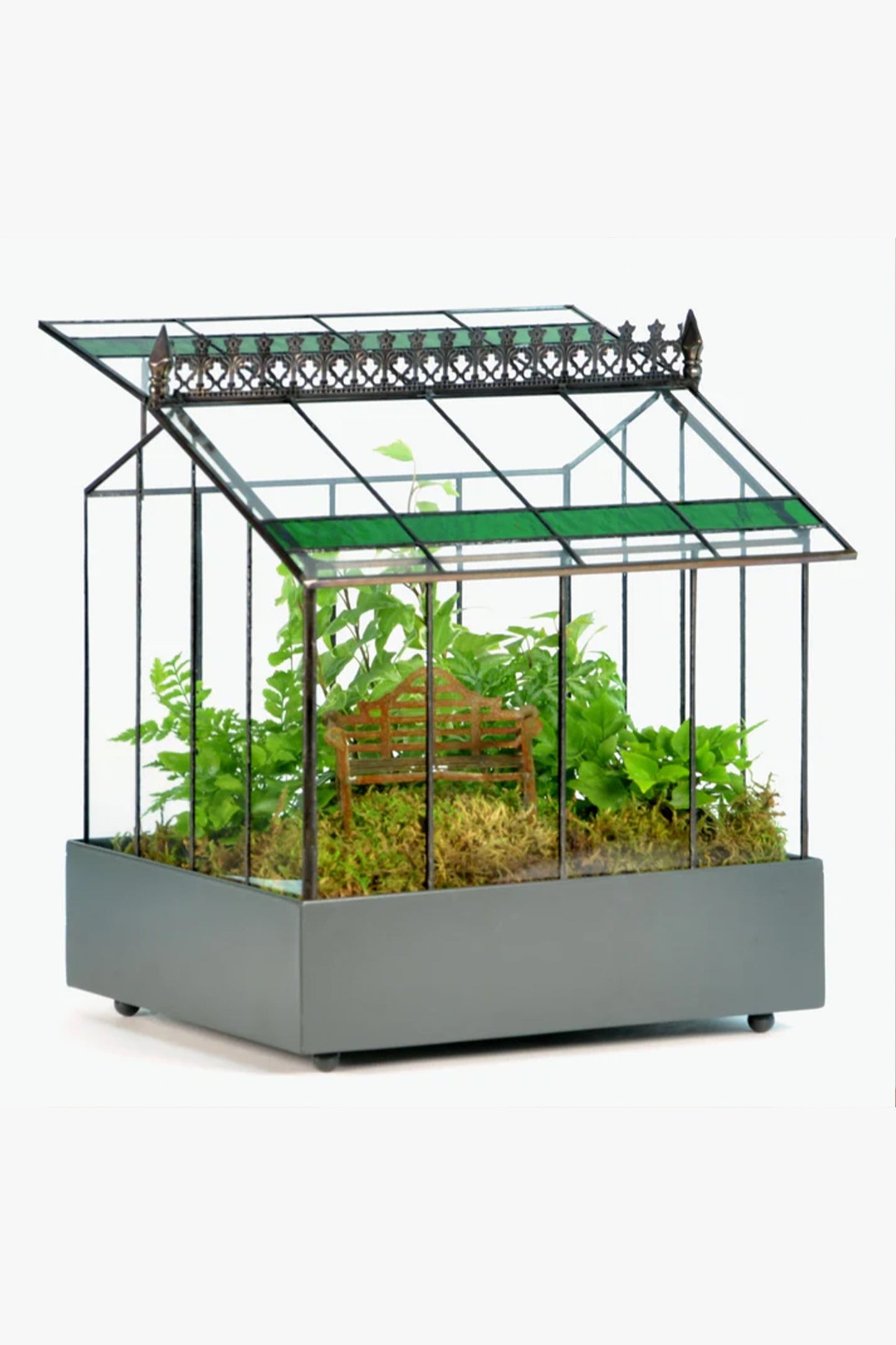 Elegant Wardian Case Terrarium Houseplant Container for Succulents & Reptiles - ILLUMEATerrarium Planter