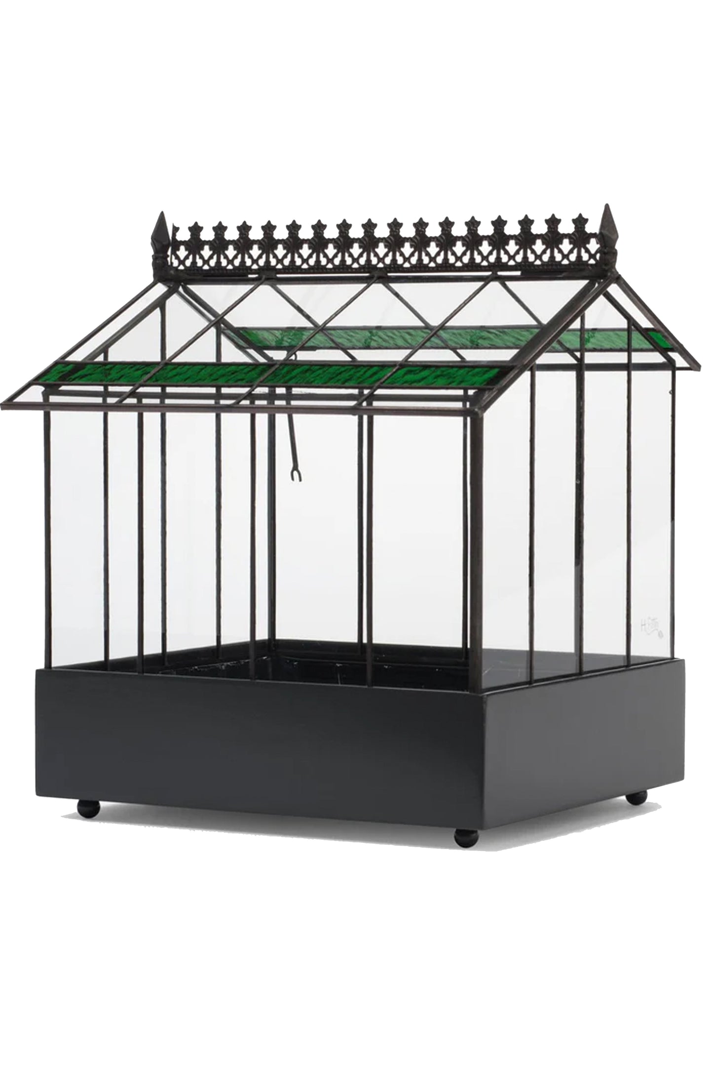 Elegant Wardian Case Terrarium Houseplant Container for Succulents & Reptiles - ILLUMEATerrarium Planter
