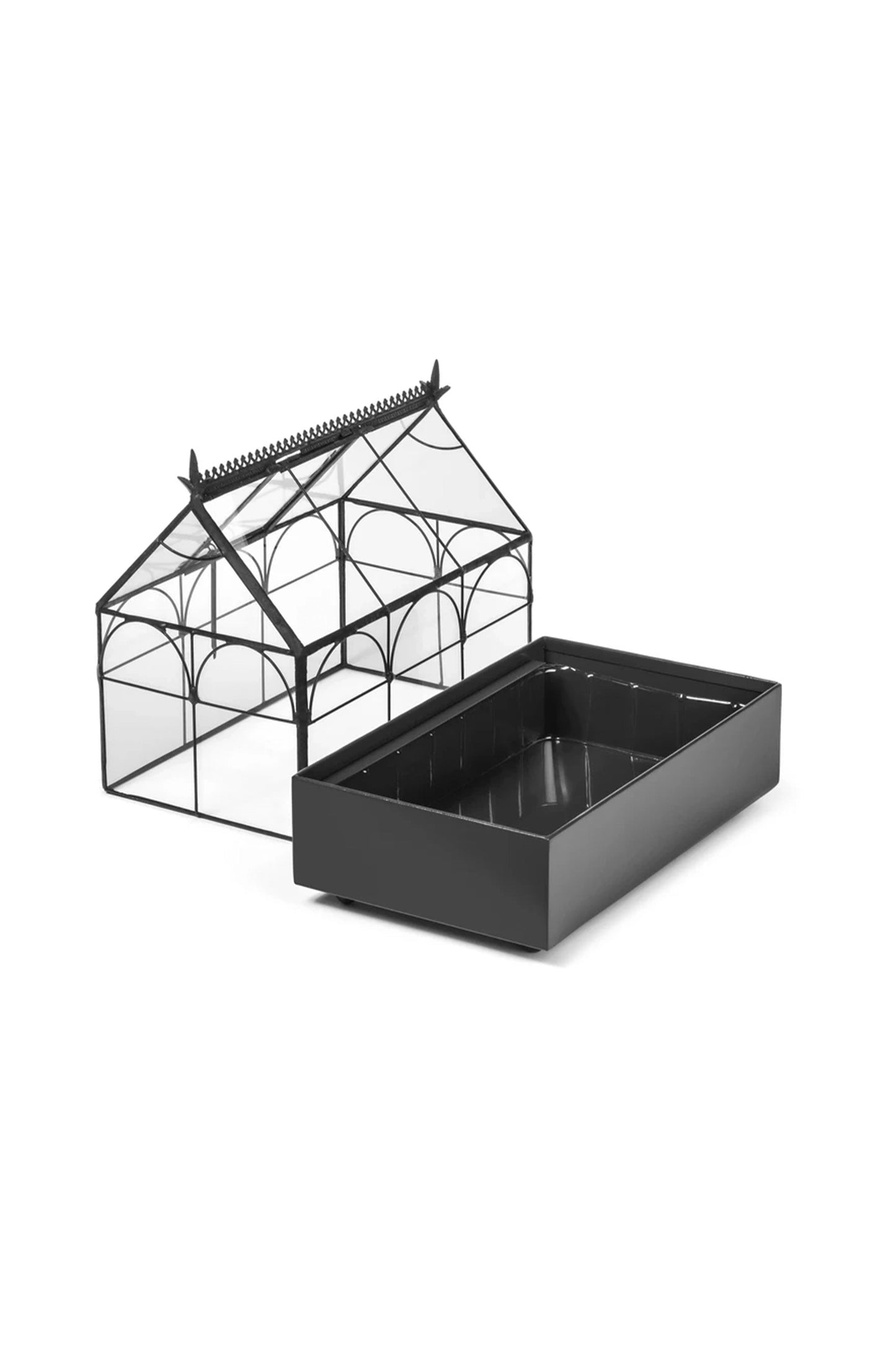 Glass Terrarium Wardian Case Indoor Planter for Succulents & Orchids - ILLUMEATerrarium Planter