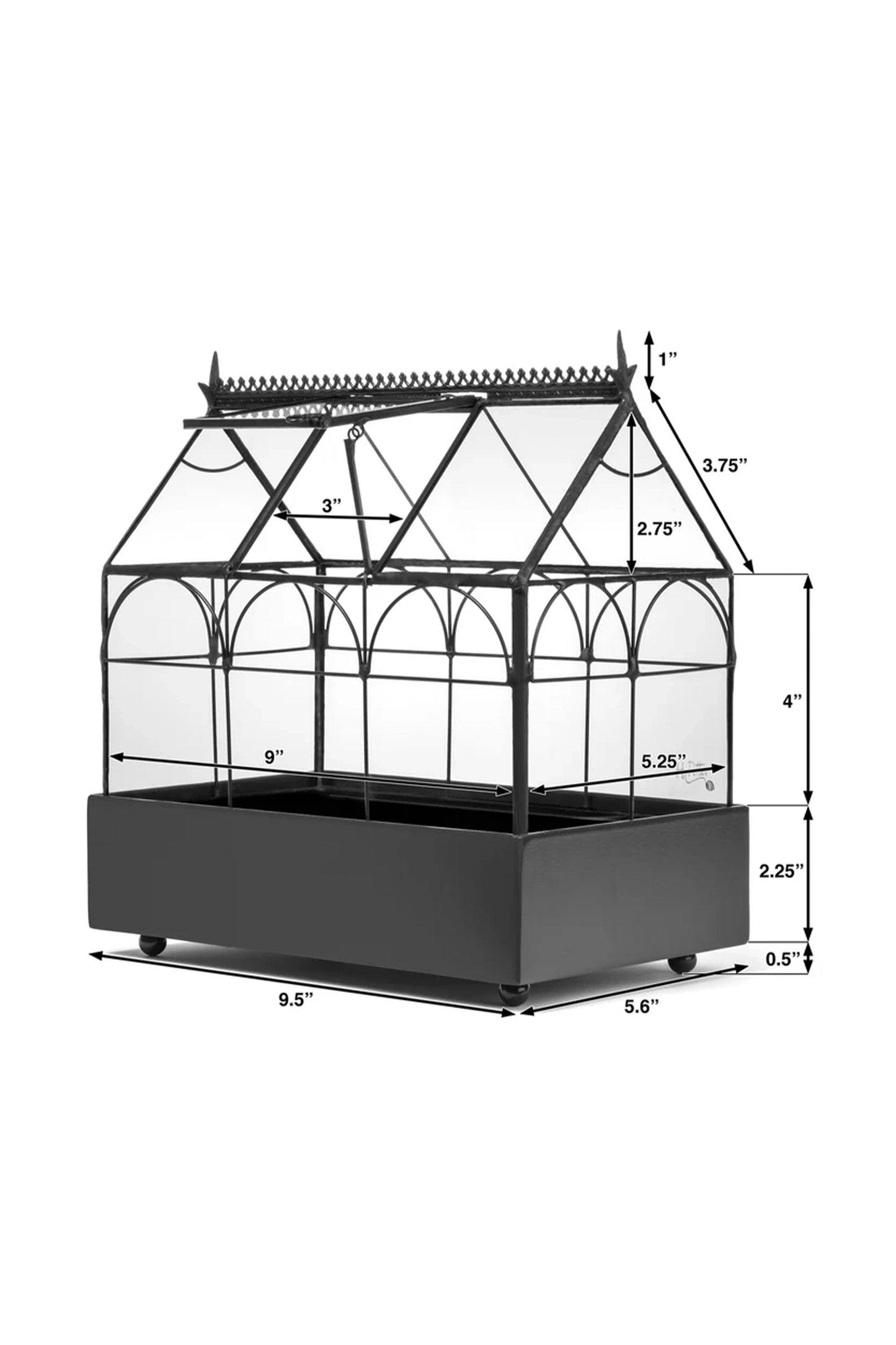 Glass Terrarium Wardian Case Indoor Planter for Succulents & Orchids - ILLUMEATerrarium Planter