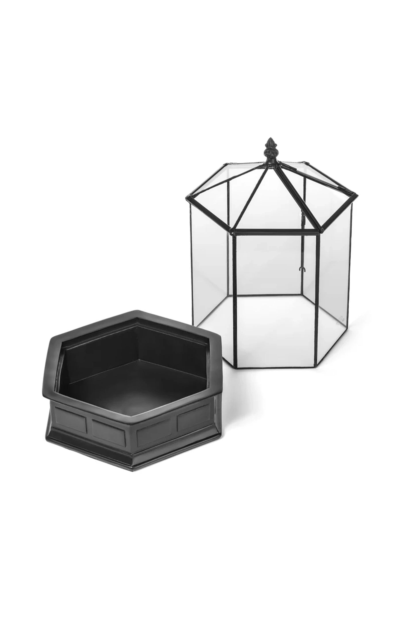 Glass Terrarium Wardian Case Plant Care container Indoor Planter for Succulents - ILLUMEATerrarium Planter