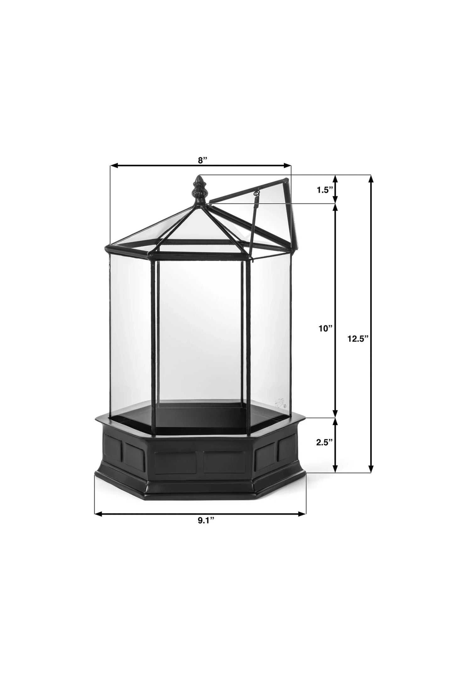 Glass Terrarium Wardian Case Plant Care container Indoor Planter for Succulents - ILLUMEATerrarium Planter