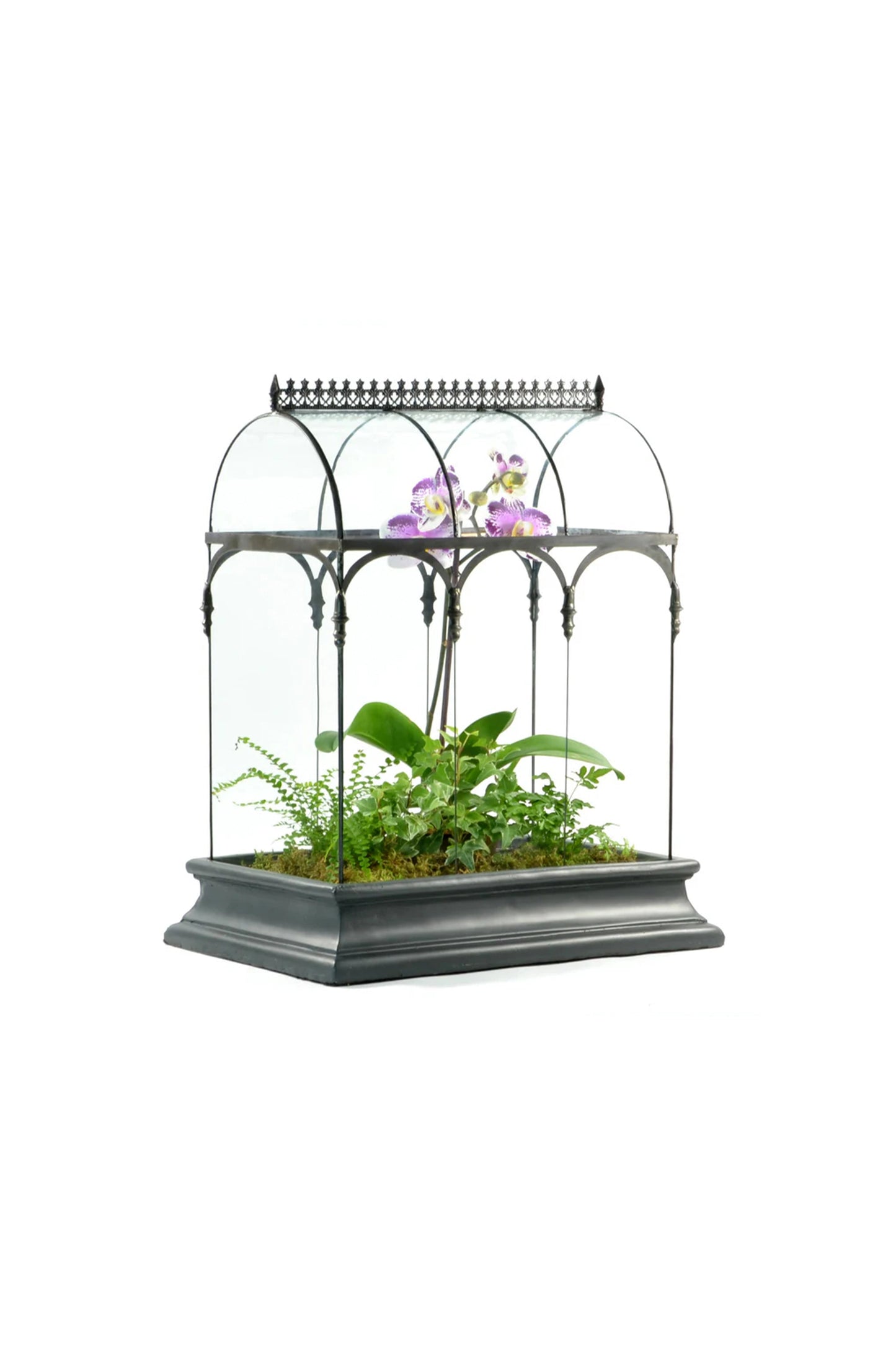 Glass Terrarium Wardian Case Plant container Indoor Planter for Succulents - ILLUMEATerrarium Planter