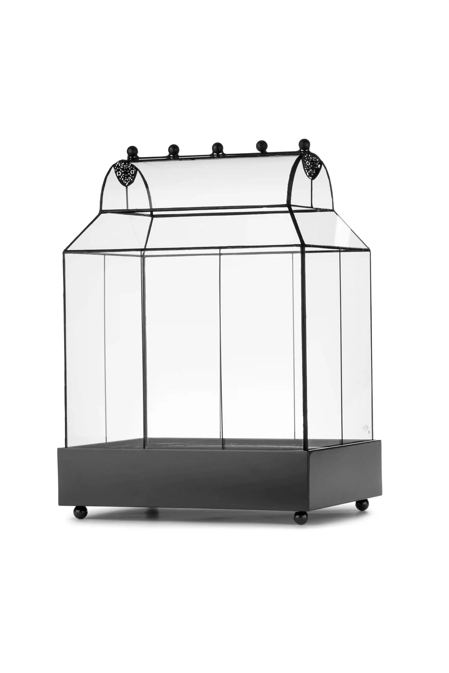 Rectangular Black Terrarium