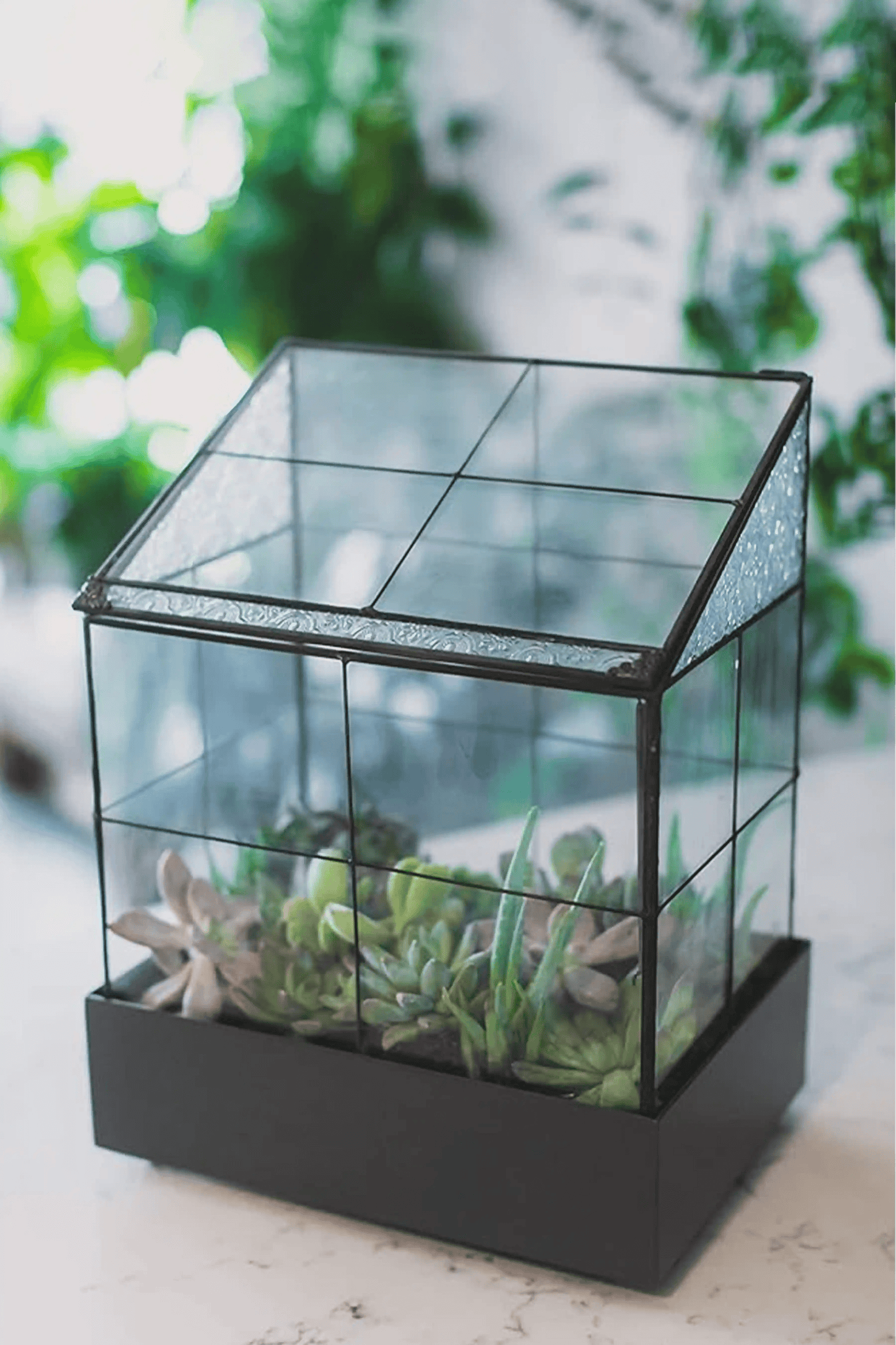 Modern Glass Terrarium Wardian Case Houseplant Container for Indoor Succulent Display - ILLUMEATerrarium Planter