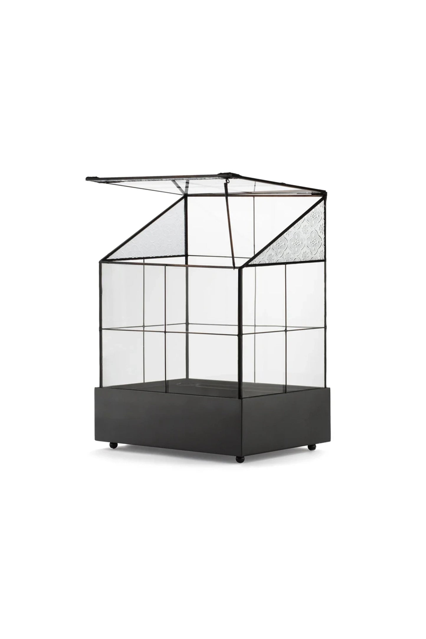Modern Glass Terrarium Wardian Case Houseplant Container for Indoor Succulent Display - ILLUMEATerrarium Planter