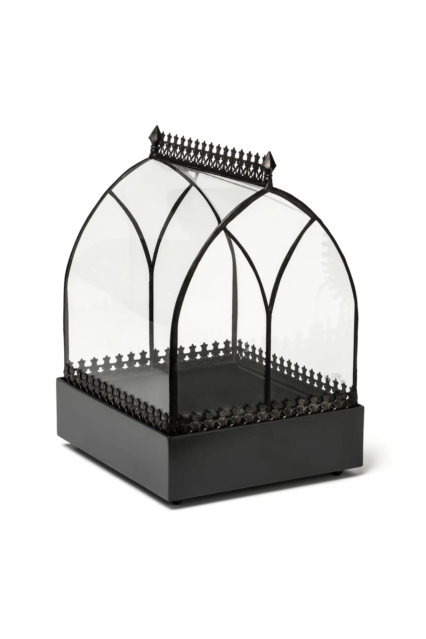 Wardian Case Curved Glass Terrarium - ILLUMEATerrarium Planter