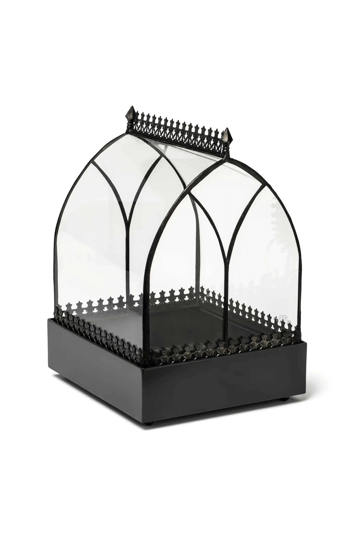 Wardian Case curved glass terrarium with succulents for home decor