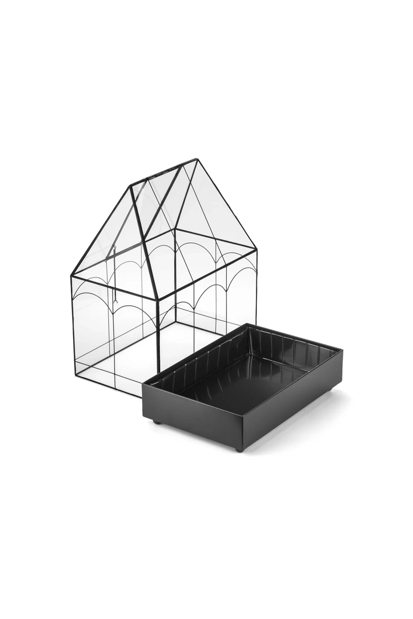 Wardian Case Terrarium Houseplant Container for Succulents & Small Plants - ILLUMEATerrarium Planter
