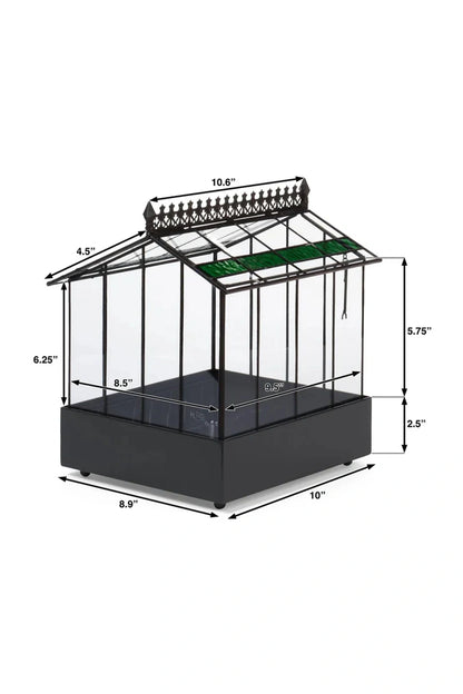 Glass Wardian Case Terrarium Planter c