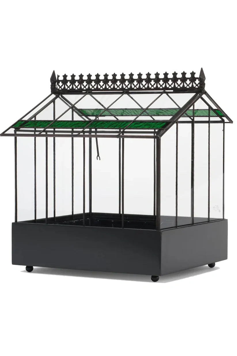 Glass Wardian Case Terrarium Planter d