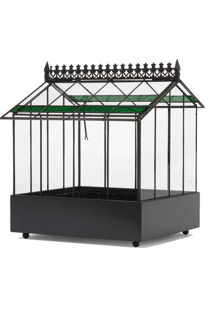 Glass Wardian Case Terrarium Planter d