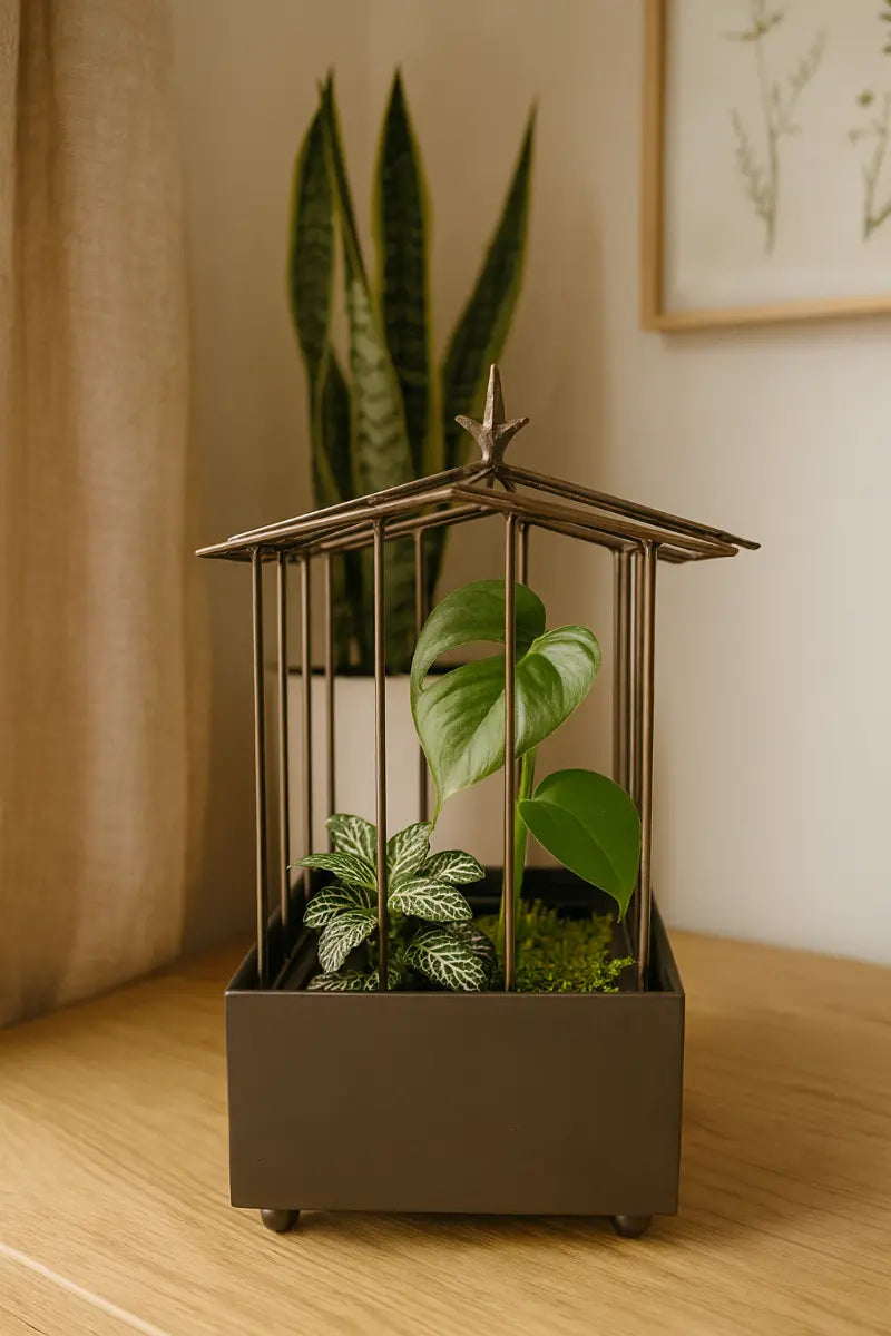 Decorative indoor plant in a metallic cage on a wooden surface with a neutral background