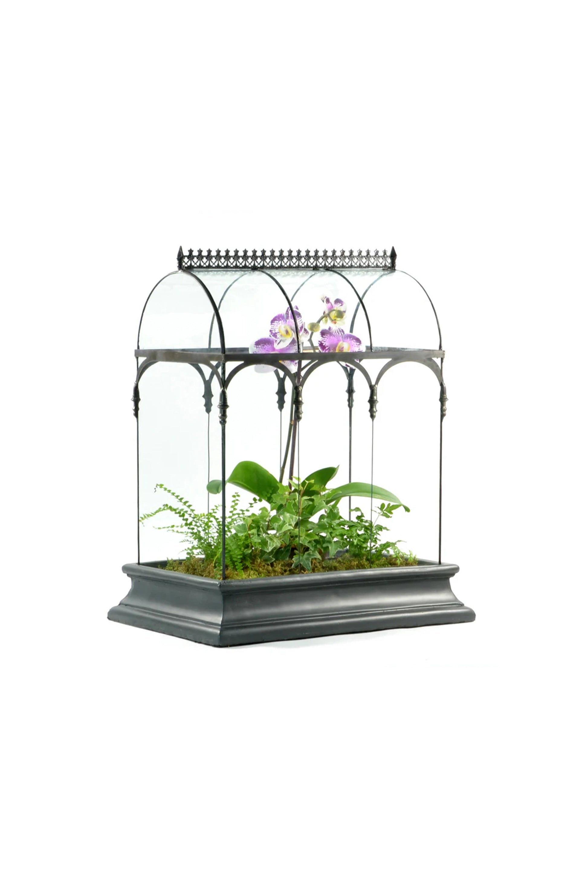 Glass Terrarium Wardian Case