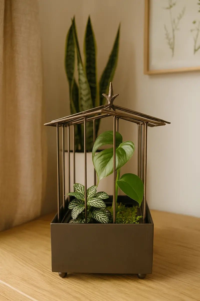 Mini Terrarium