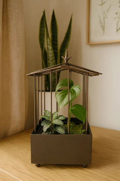 Mini Terrarium