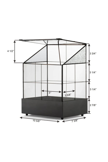 Terrarium Houseplant Container