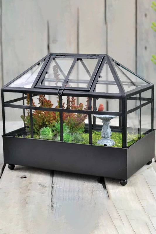 Vintage Terrarium Wardian Case Indoor Planter for Succulents & Orchids - ILLUMEATerrarium Planter