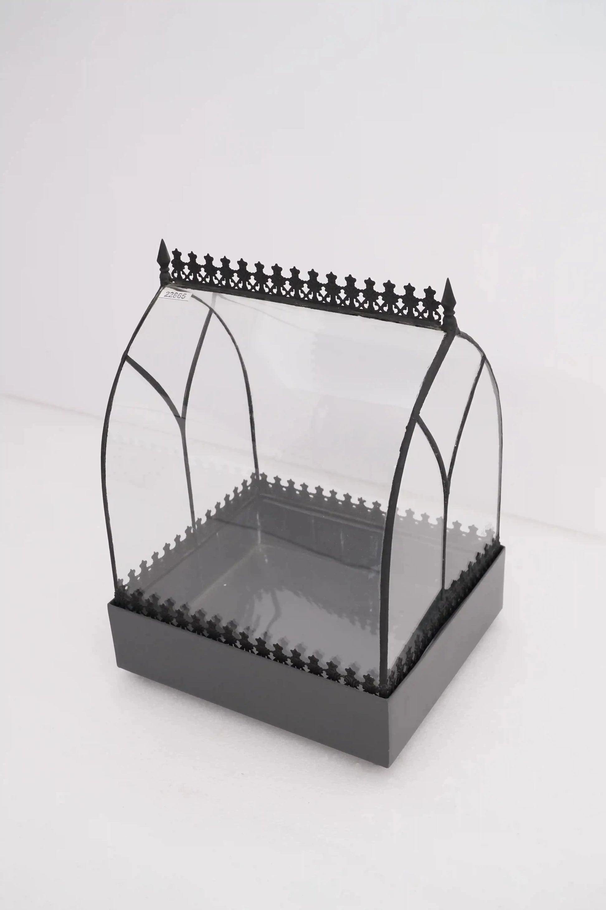 Wardian Case Curved Glass Terrarium