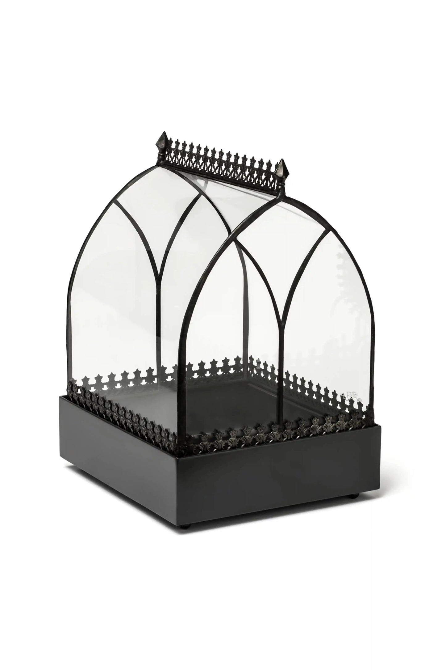 Wardian Case Curved Glass Terrarium