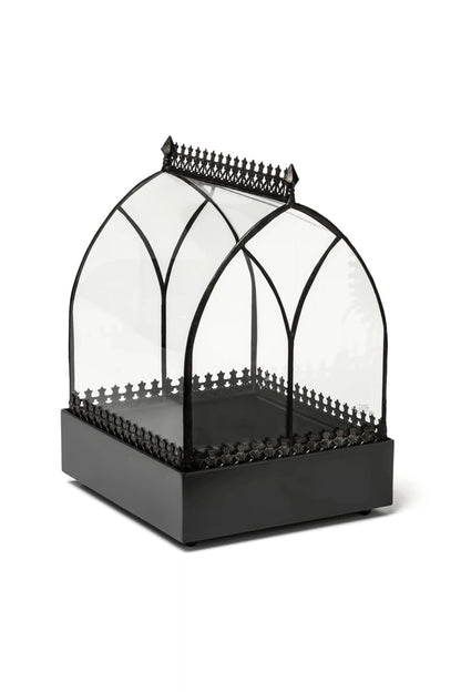 Wardian Case Curved Glass Terrarium